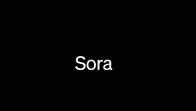 SORA OPENAI