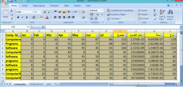 ما هو برنامج Excel ؟ دليلك لفهم أساسيات إكسل واستخداماته.