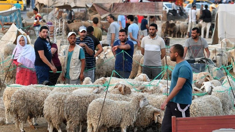 اضاحي عيد الأضحى 2025